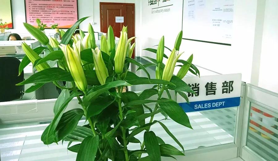 濃情七夕，最美祝福！